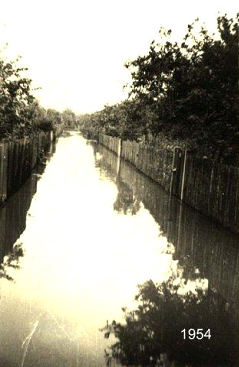 Chronik 1954: Das Hochwasser von 1954